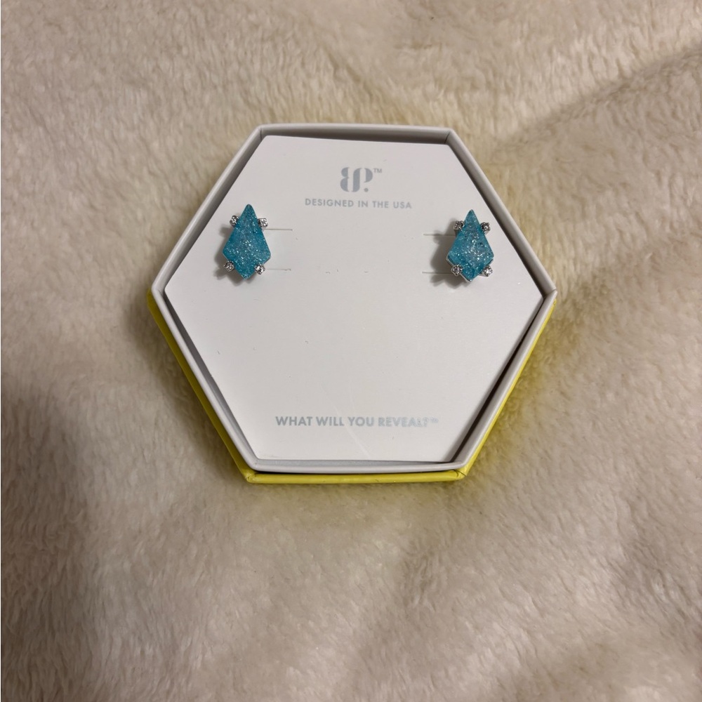Blue Stone Stud Earrings